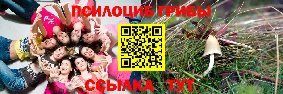 Псилоцибиновые грибы прущие грибы Красноперекопск