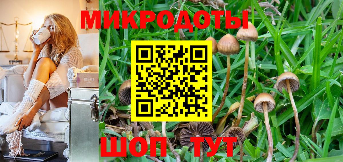 Красноперекопск  Псилоцибиновые грибы Psilocybe  Вход с VPN 